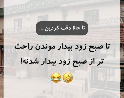 عکس باب اسفنجی انسانی