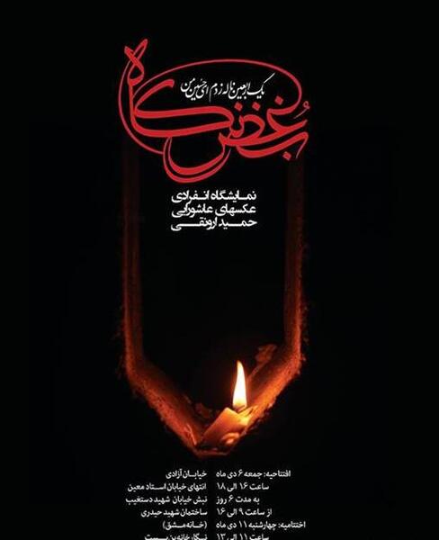 عکس مارمولک عصر یخبندان