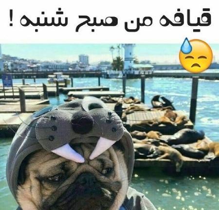 عکس نوشته طنز روز شنبه