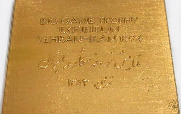 عکس جام جهانی فوتبال ایران