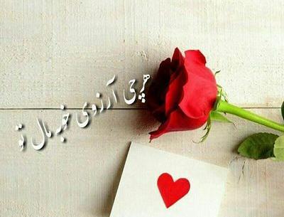 عکس پروفایل شاخ تنهایی
