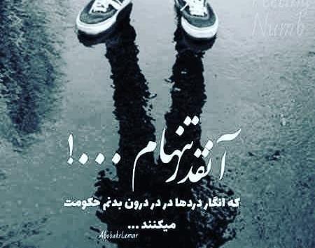 عکس پروفایل شاخ تنهایی