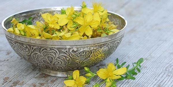 عکس علف چای