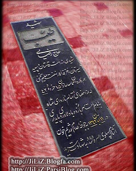 عکس قبر طیب