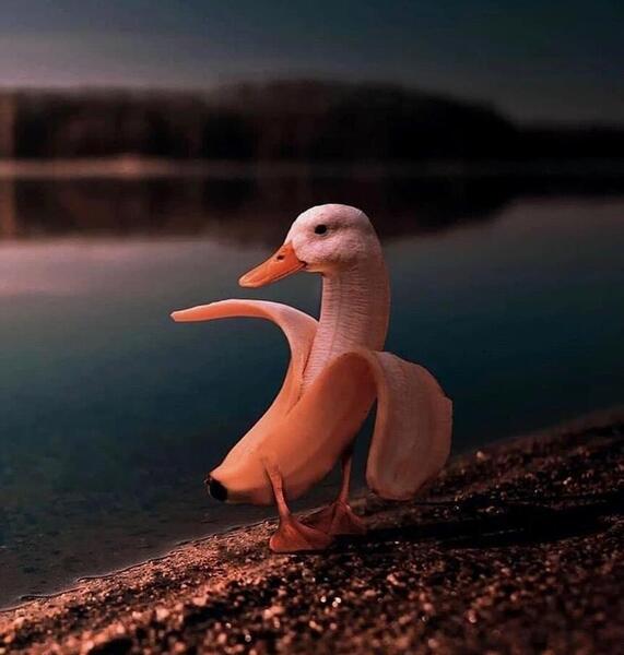 عکس جالب حقوقی