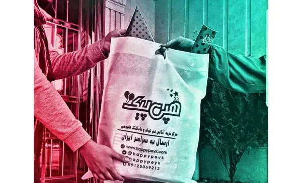 عکس فیل روی کیک