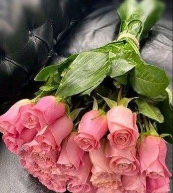 عکس گل رز صورتی و قرمز