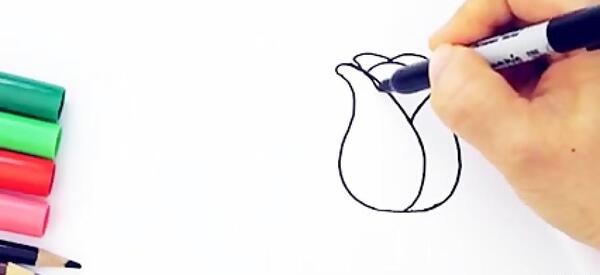 عکس نقاشی گل محمدی بدون رنگ