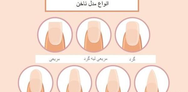 عکس مدل ناخن بیضی