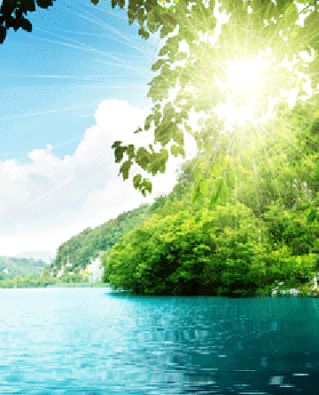 عکس متحرک لایک قلبی