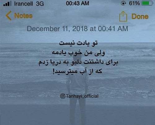 عکس نوشته شاخ شیک