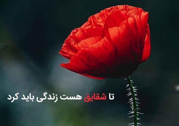 عکس نوشته شعر سهراب