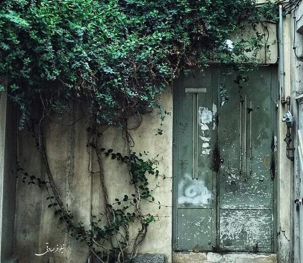 عکس نوشته به اسم فاطی