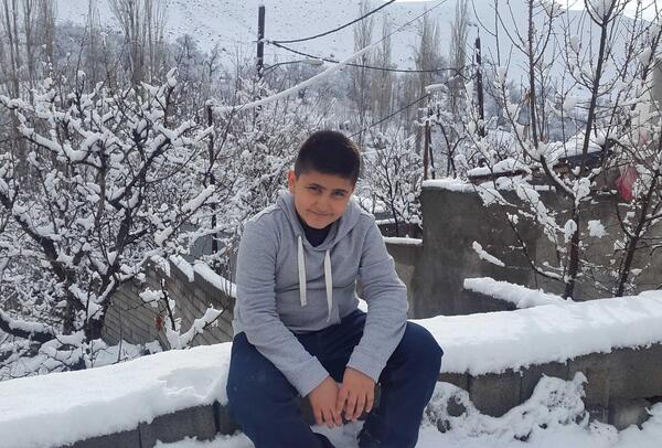 عکس بهشت حیوانات