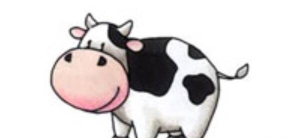 عکس گاو برای نقاشی