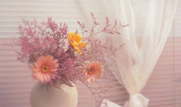عکس نوشته ای گل تازه داریوش