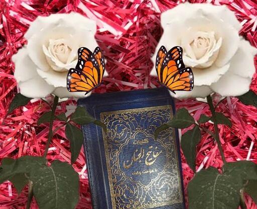 عکس گوشواره تیغ