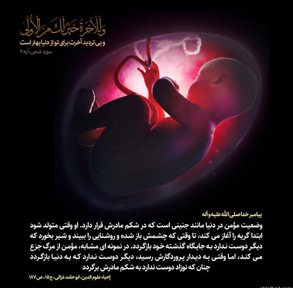 عکس جنین صد روزه