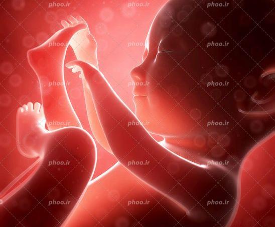 عکس جنین صد روزه