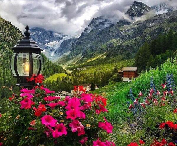 عکس طبیعت صبحگاهی
