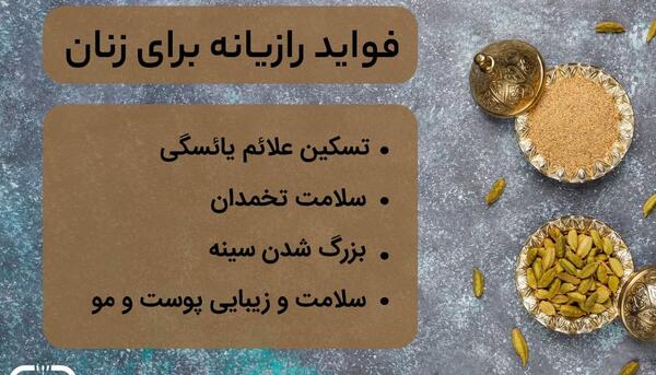 عکس از رازیانه