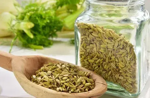 عکس از رازیانه