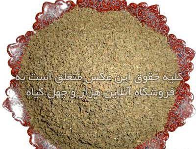 عکس از رازیانه