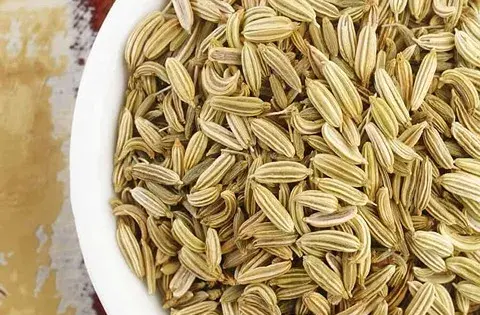 عکس از رازیانه