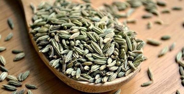 عکس از رازیانه