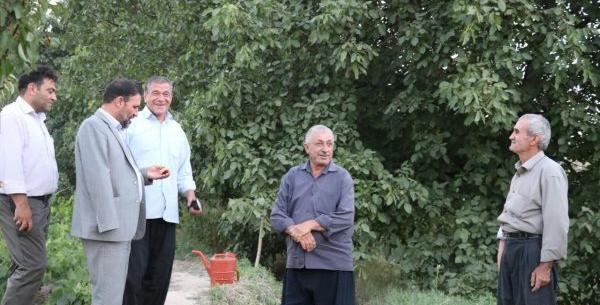 عکس سجاد نصیری