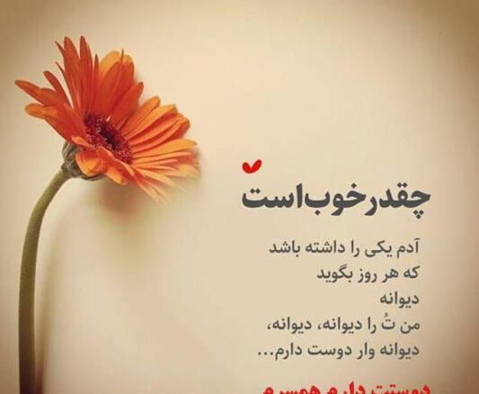 عکس نوشته عاشقانه زن و شوهری