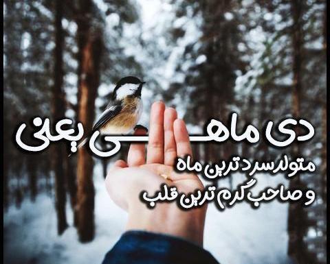 عکس دی ماهی ها