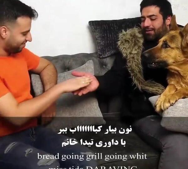 عکس سگ تینا