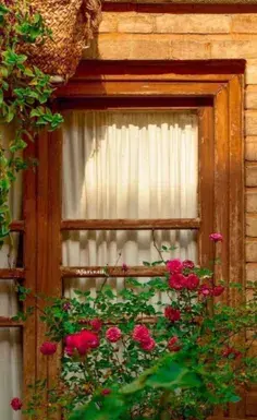 عکس تسلیت خودم