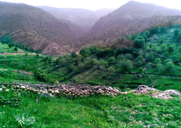 عکس شهر چرام