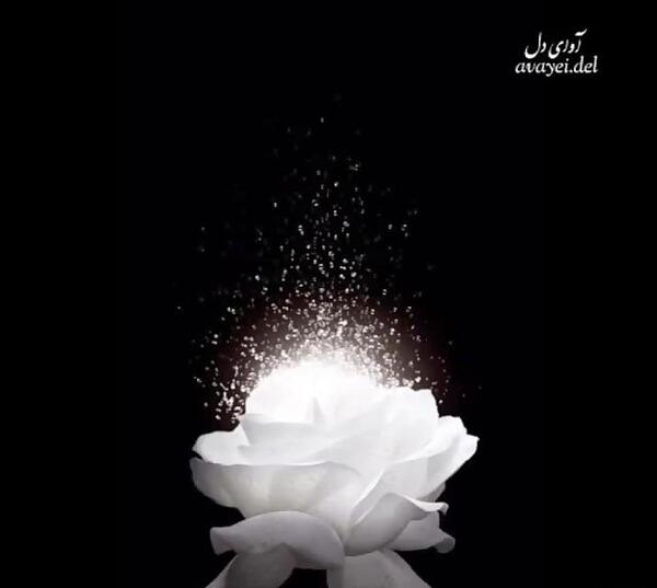 عکس پنجشنبه های دلتنگی قران