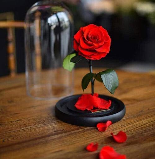 عکس های غمگین ولنتاین