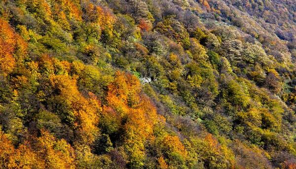 عکسهای پاییز گردنه حیران