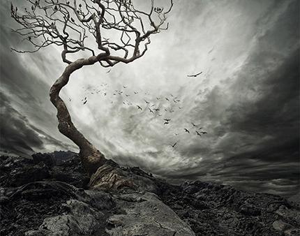 عکس بک گراند برای فتوشاپ