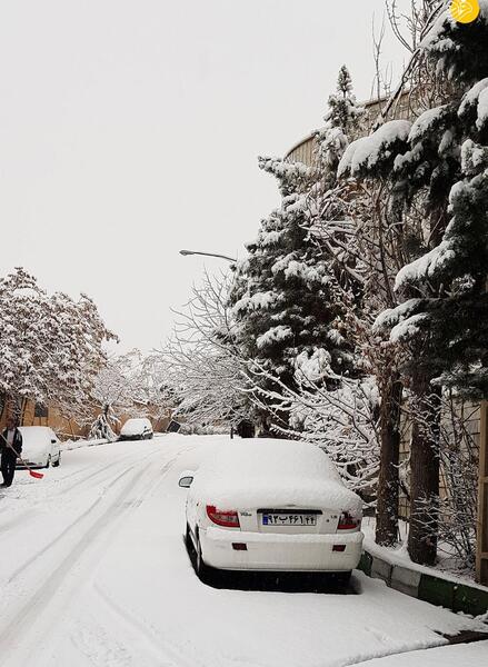 عکس برف روی زمین