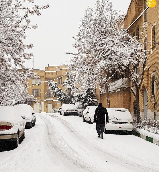 عکس برف روی زمین