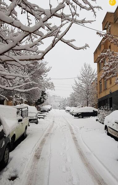 عکس برف روی زمین