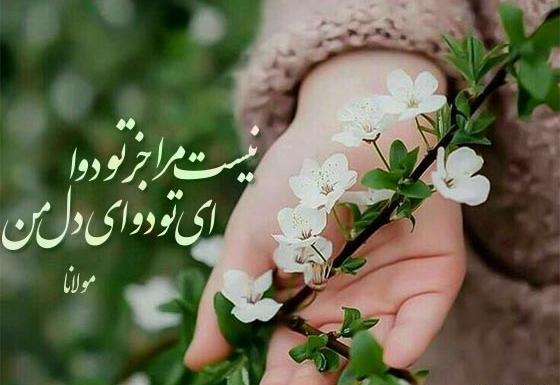عکس های نوشته شده غزل