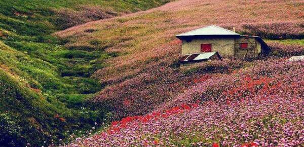 عکس پاییزی جاده اسالم