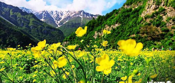 عکس دریا سر