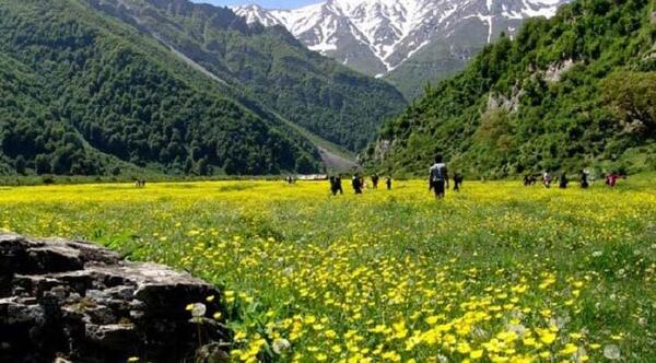 عکس دریا سر