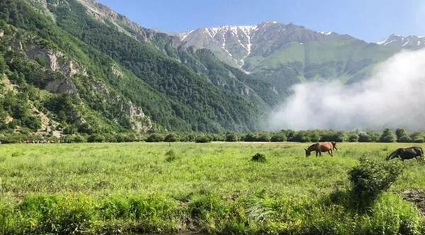 عکس دریا سر
