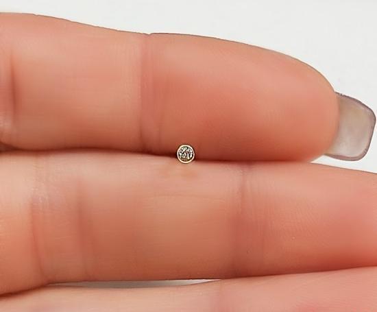 عکس پیرسینگ بینی طلا