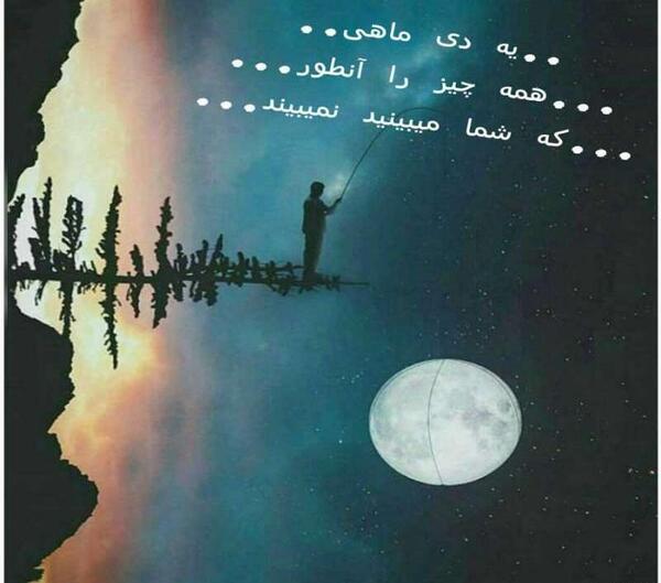 عکس دی ماهی های خاص