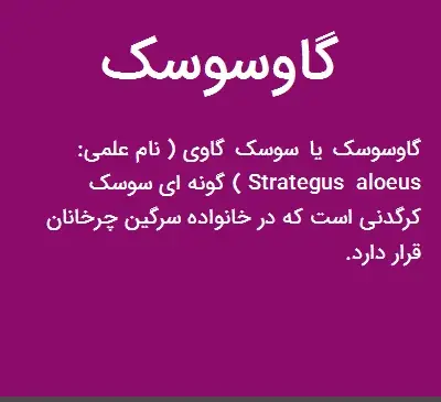 عکس سوسک گاوی